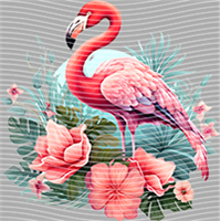 Animal Integration-DW 1491